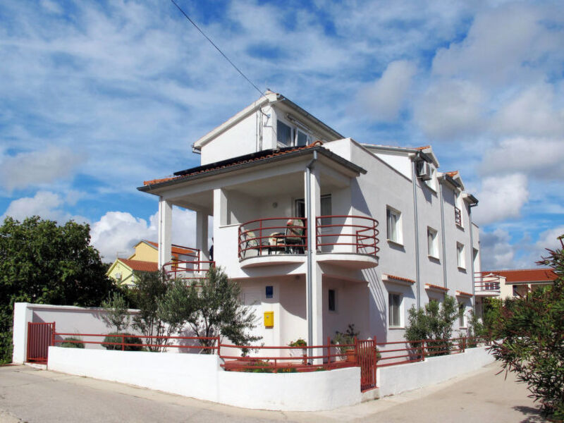 Oliva