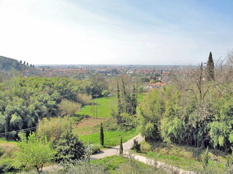 Casetta Il Vecchio Olivo