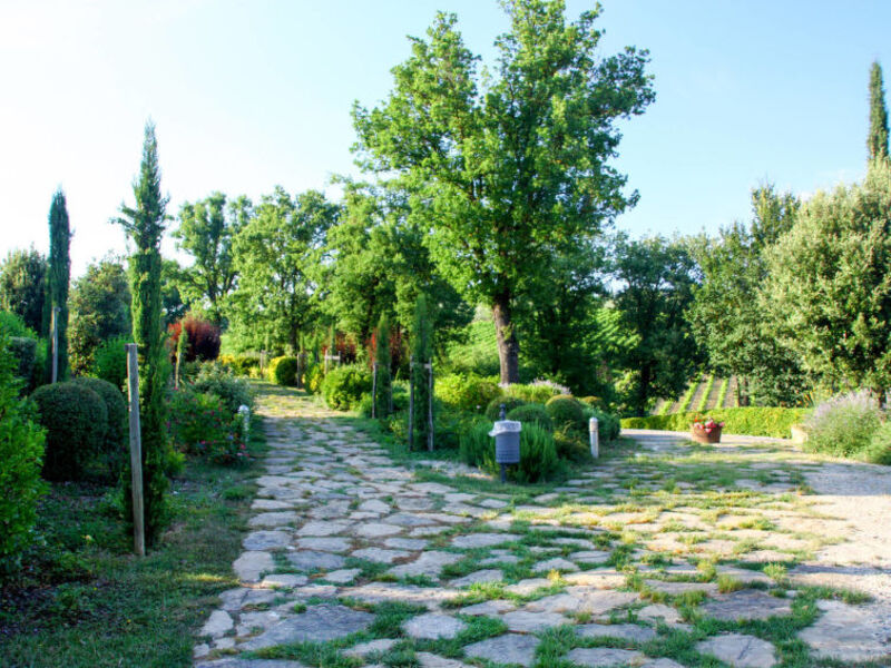Tenuta Le Gallozzole