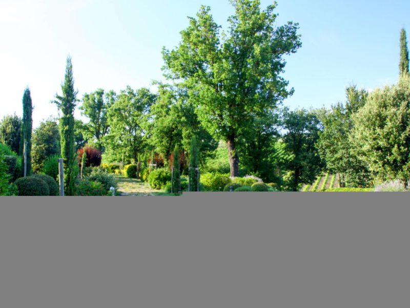 Tenuta Le Gallozzole