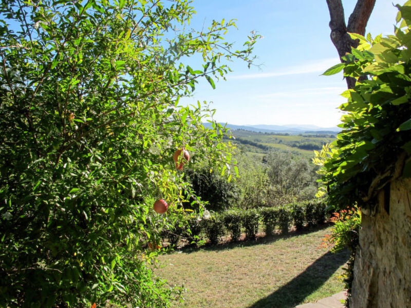 Podere Siepi