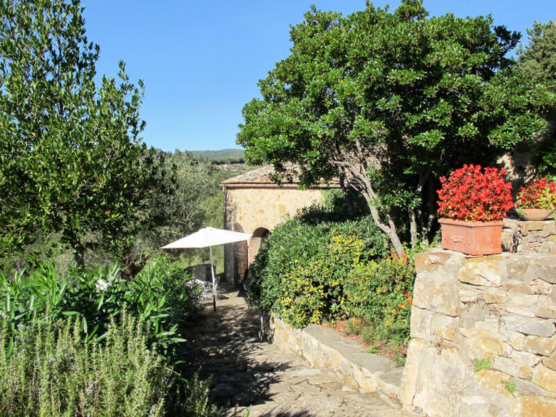 Podere Siepi