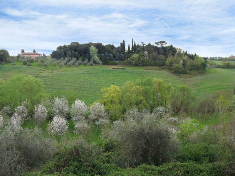 Casa Tosca