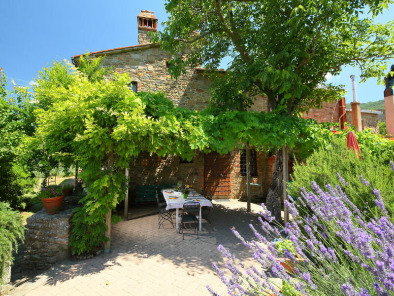 Domivecchi