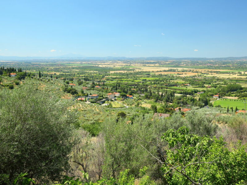 Domivecchi
