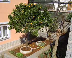 Apartmány 549-133
