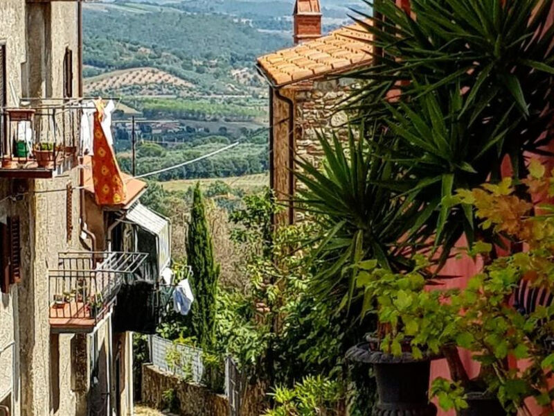 Podere L'Orsinghi App. B
