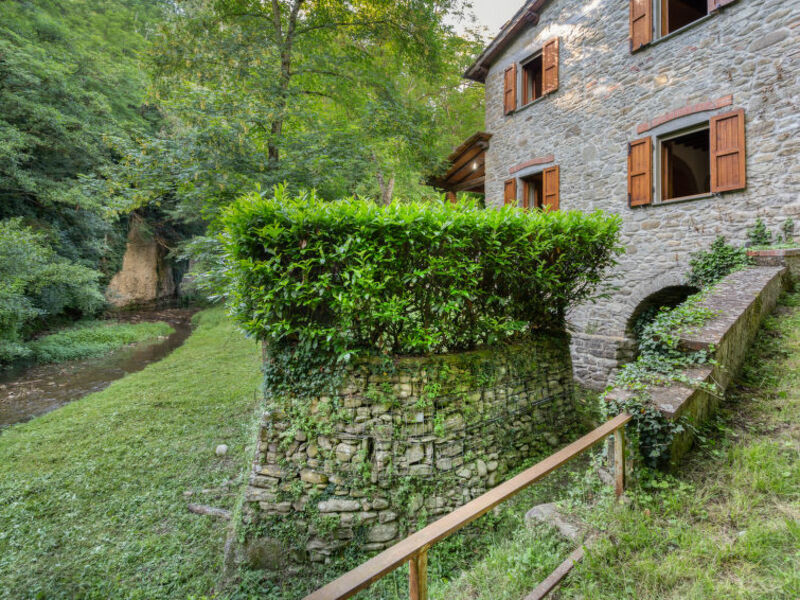 La Ripresa