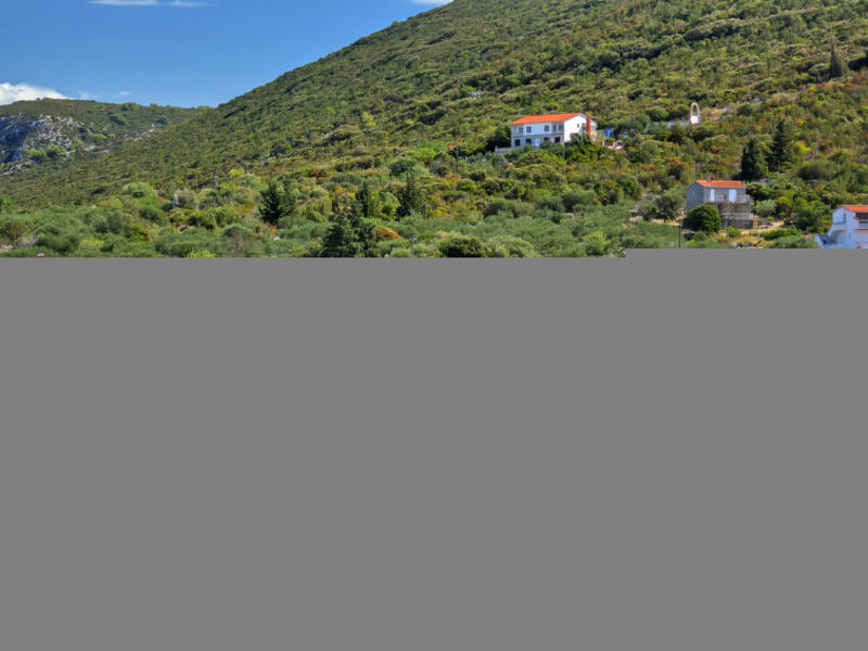 Ruža