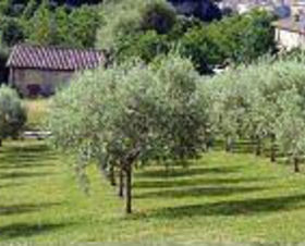 Park Hotel Sangallo