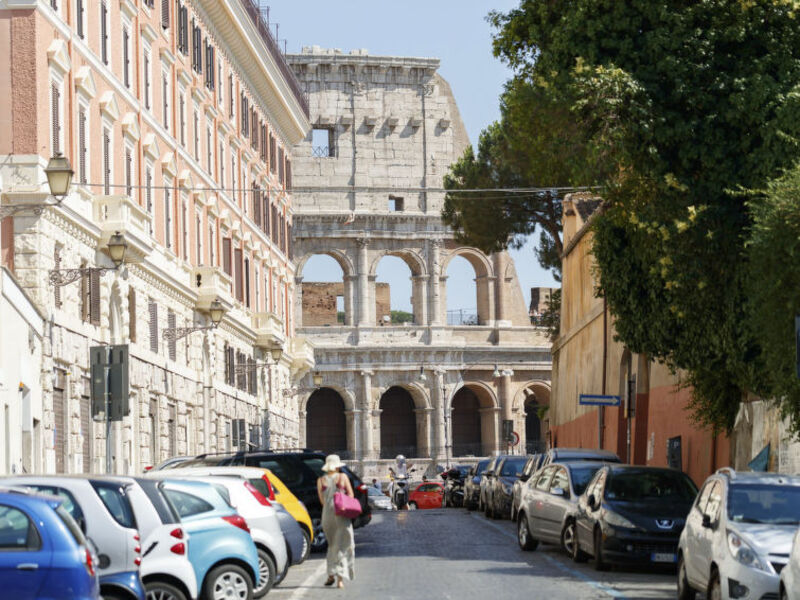 Il Cardellino