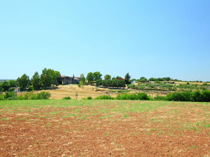 Falcognana