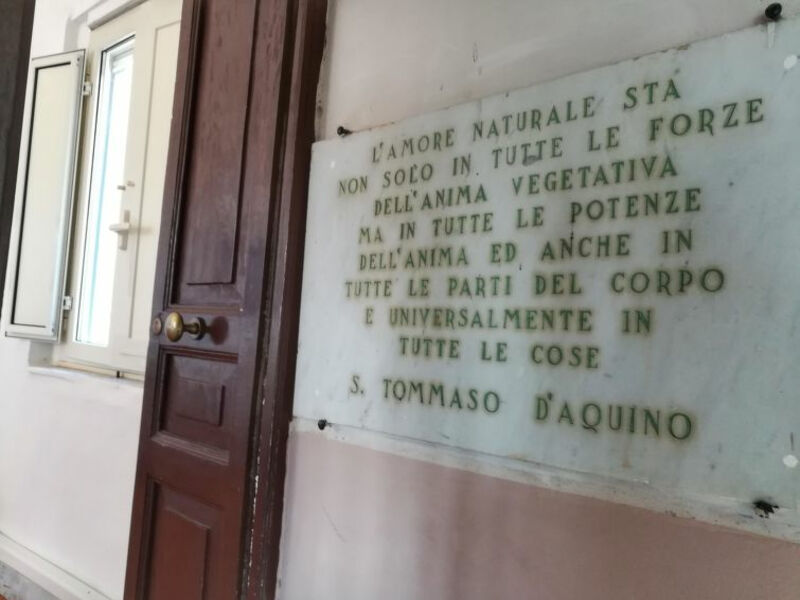 Atratina