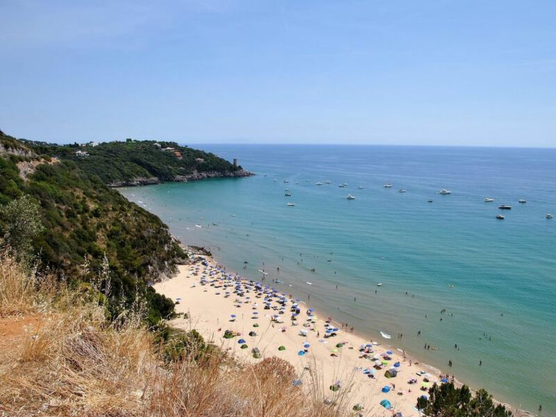 Atratina