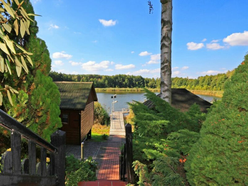 Adamowo ***, Adamowo