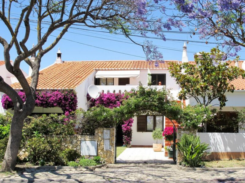 Burganvilae