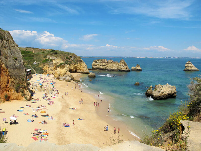Burganvilae