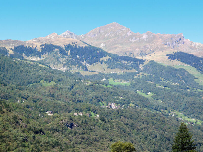 Rustico Conceprio