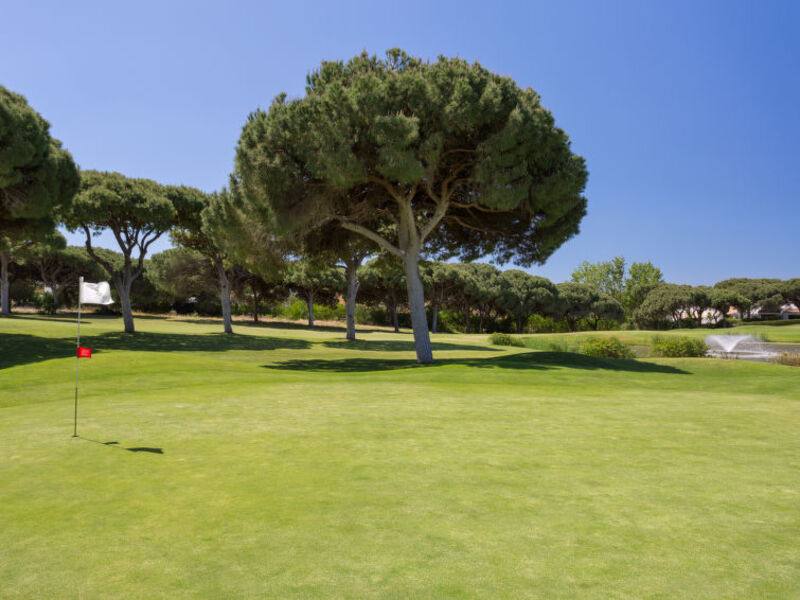 Villa Verde