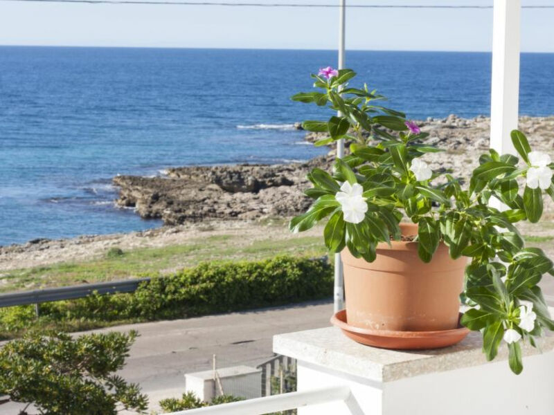 Sea Dreams House