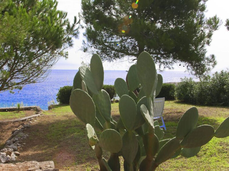 Casa Arco Del Mare