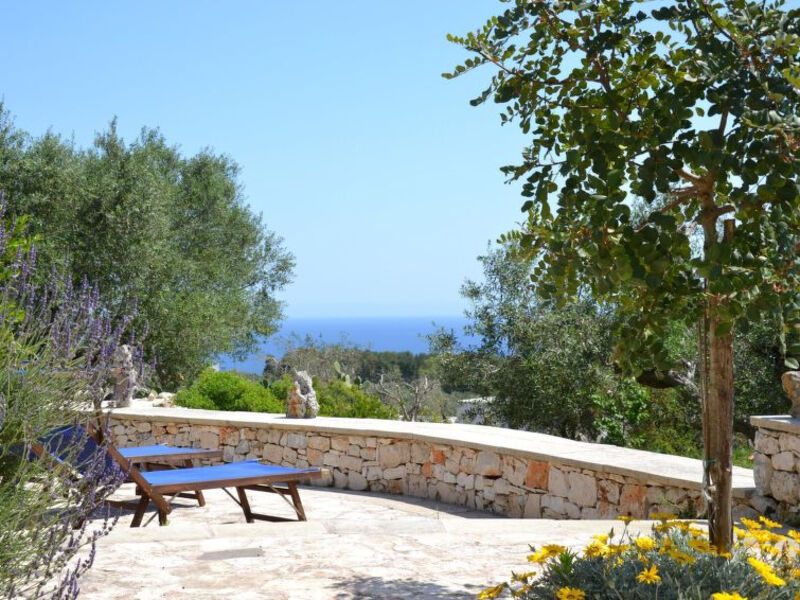 Pajara Del Capo