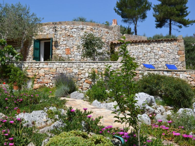 Pajara Del Capo