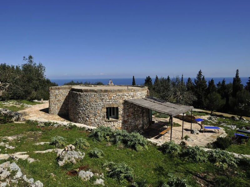 Pajara Del Capo