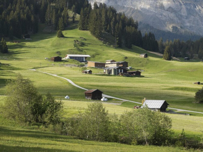 Ferien Auf Dem Bauernhof