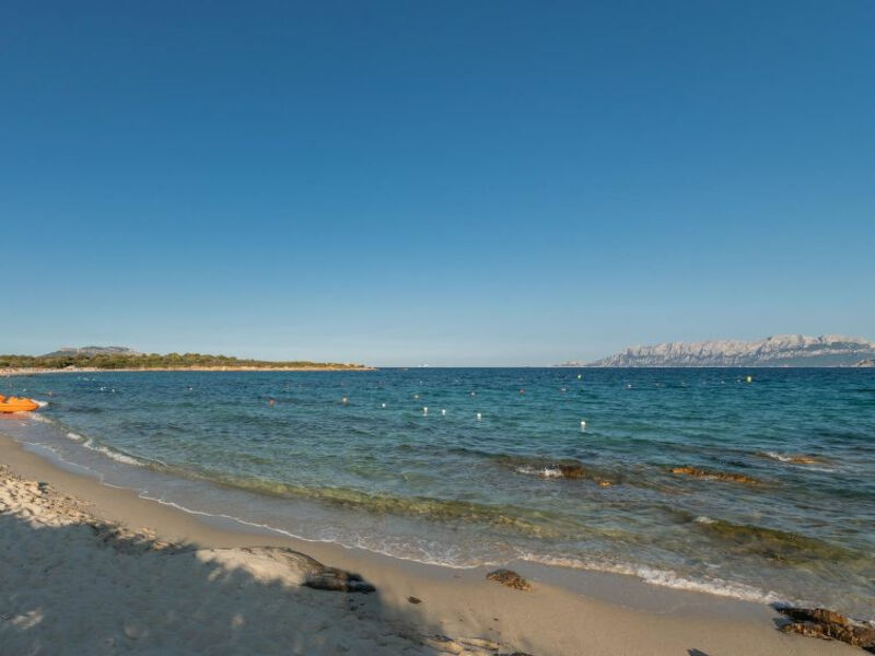 Bilo Caraibi 1