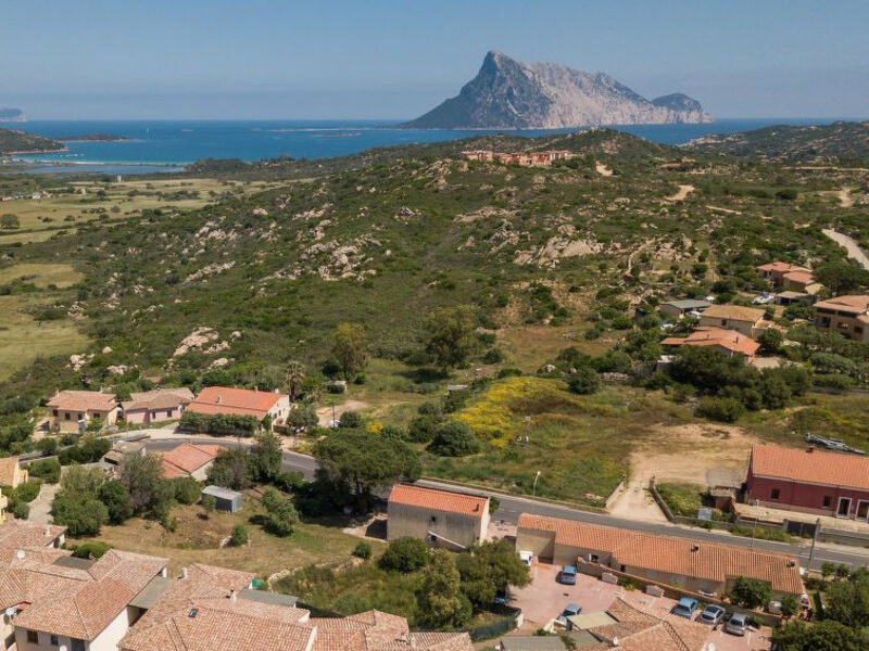 Casa Dalia