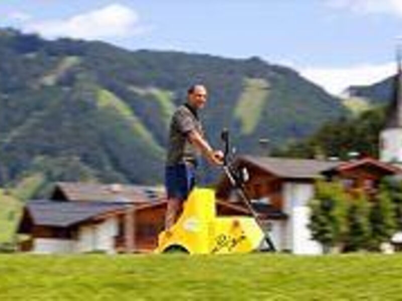 Hotel Wenger Alpenhof