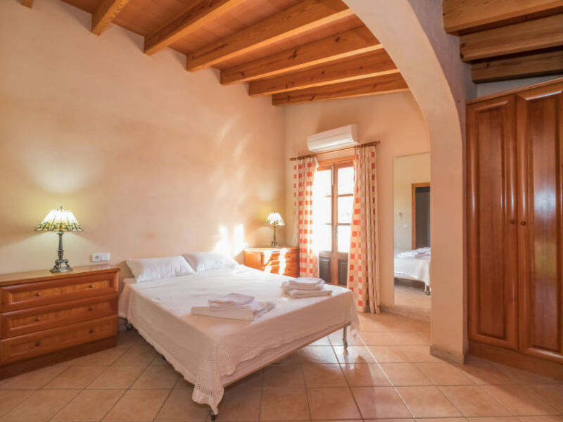 Olivar Des Turonet