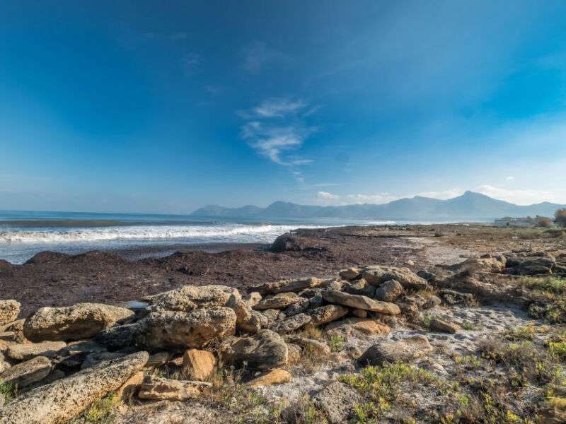 Son Serra