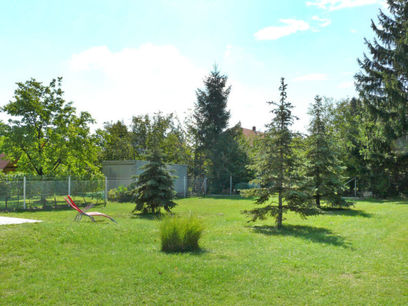 Balaton H503