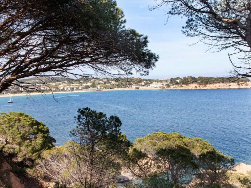 Rosada