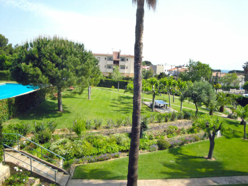 Bruixola