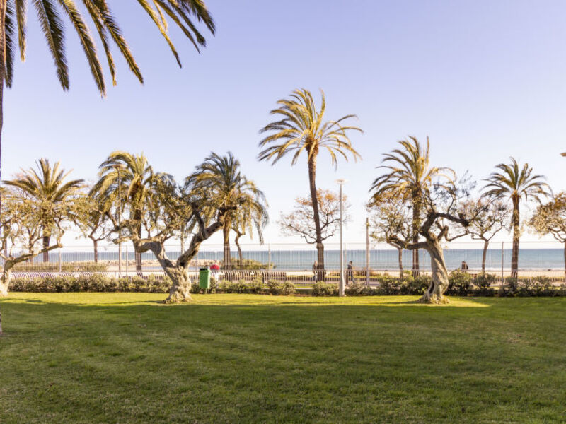 Golf De Sant Jordi