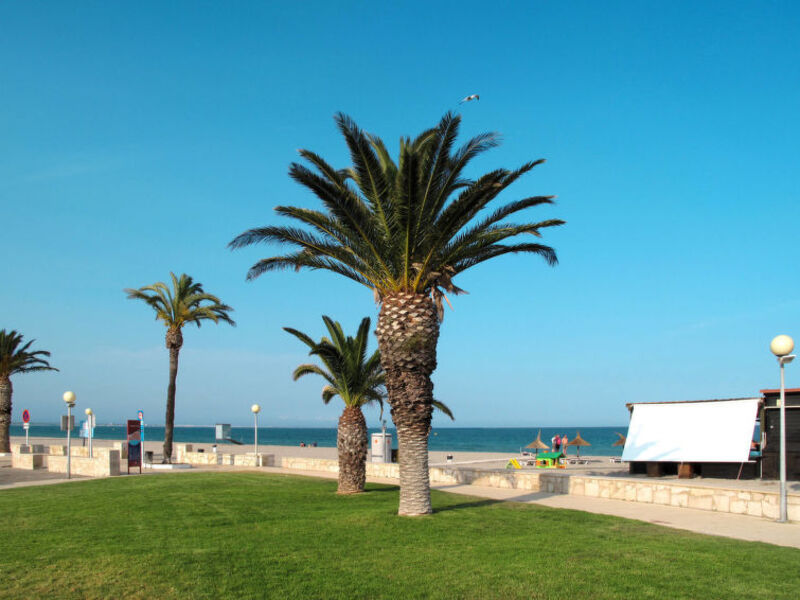 Canarias