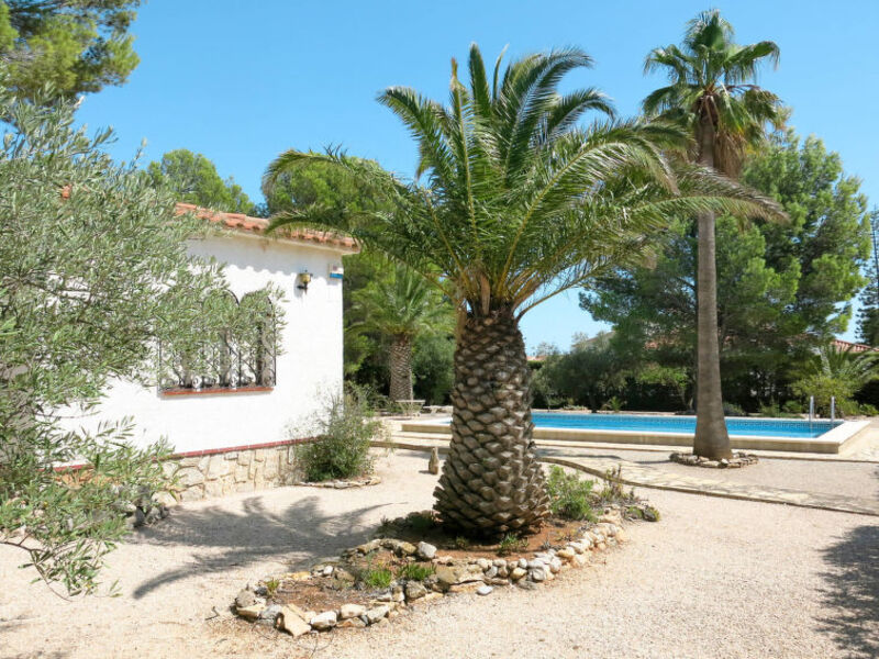 Casa Patrick