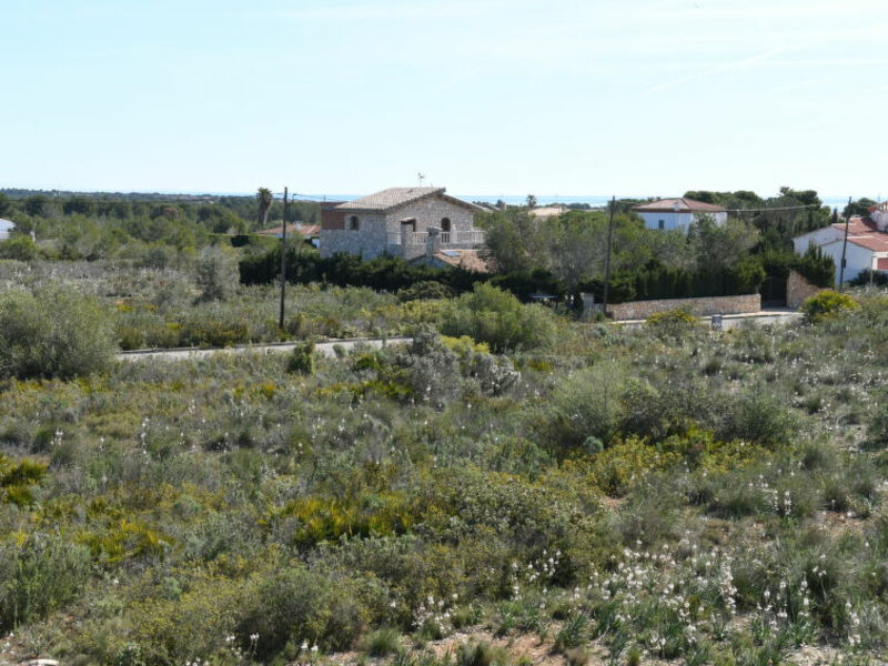 Cala Vidre