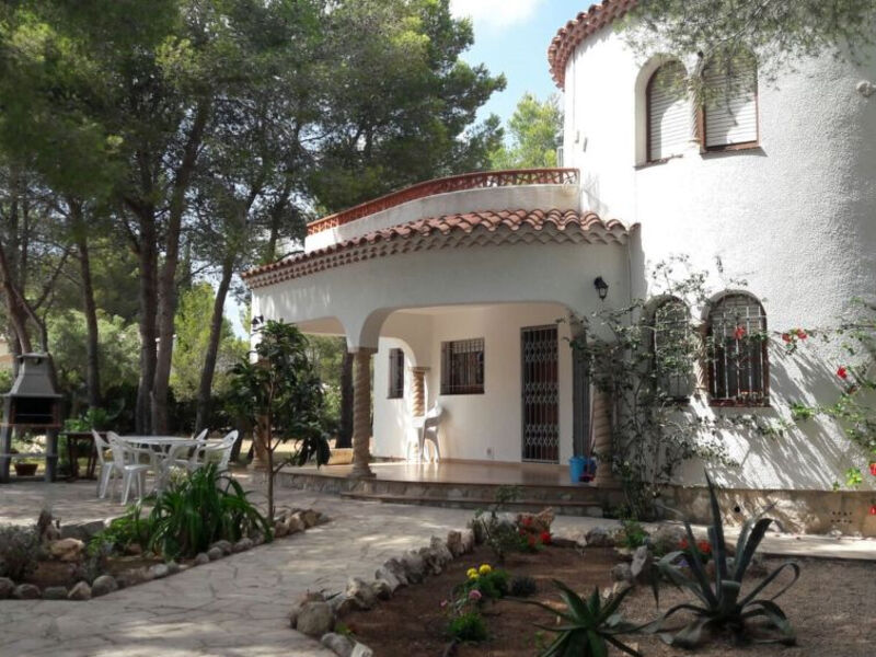 Pinos