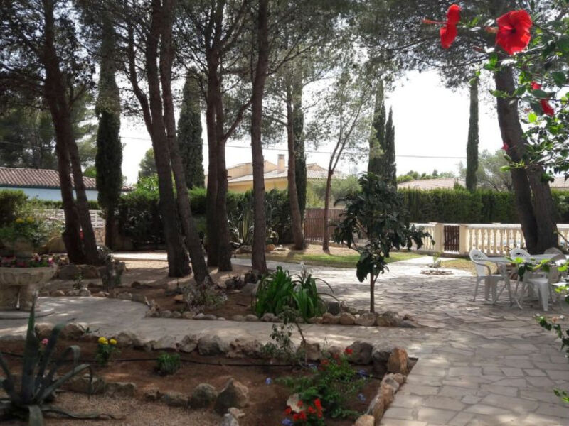 Pinos