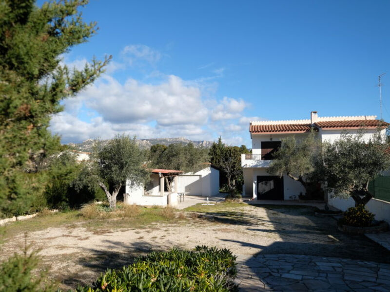 Olivos