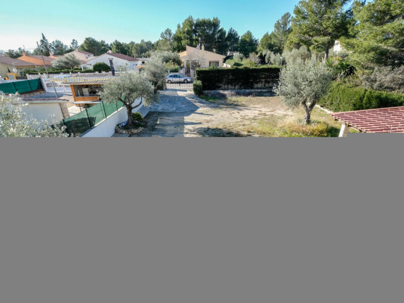 Olivos