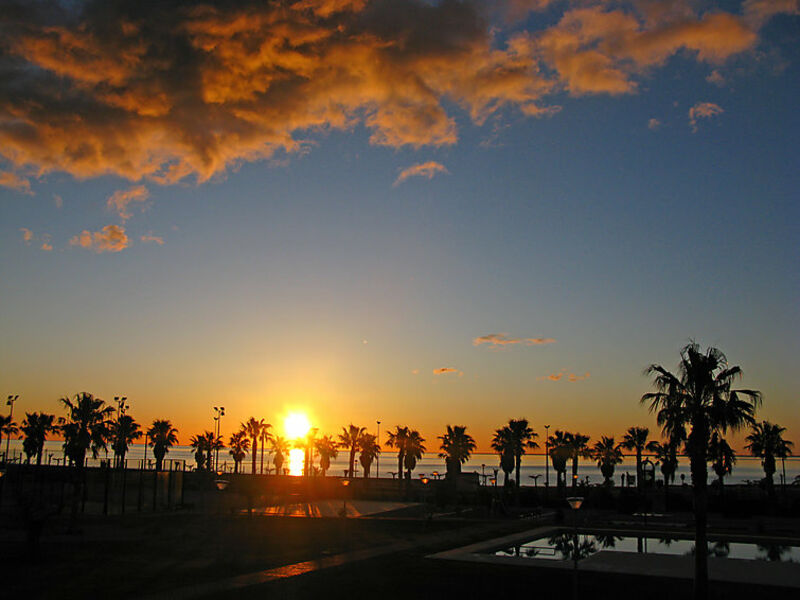 Residencial Las Palmneras