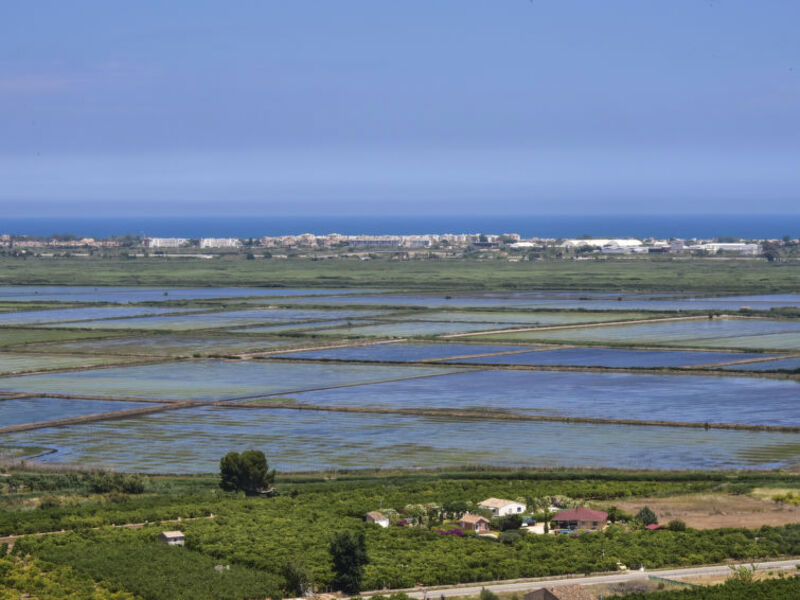 Casa Dos Palos