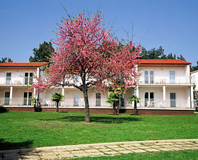 Apartmánový komplex 549-13