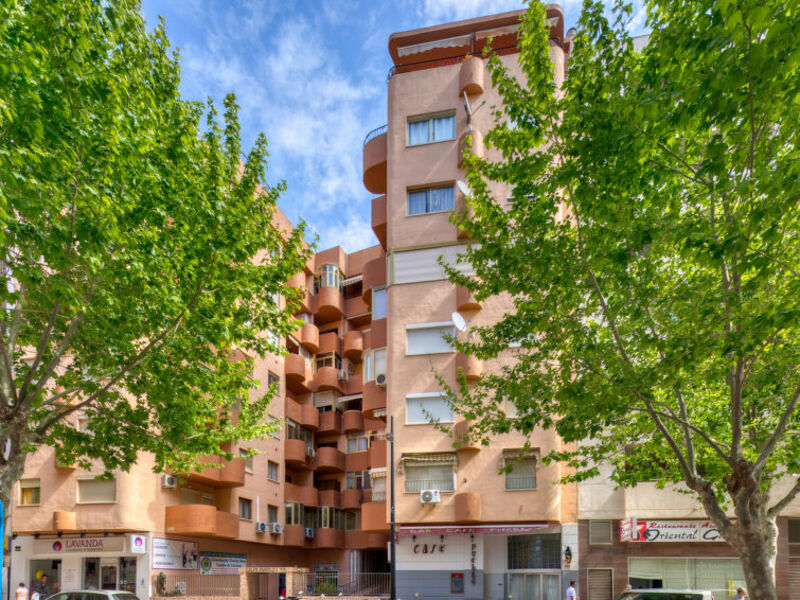 Palmera