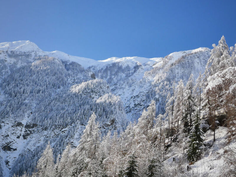 Glockner